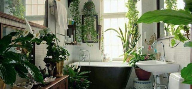ванная-комната-озеленение