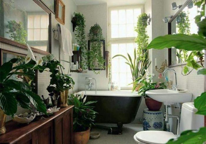  ванная-комната-озеленение