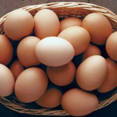 Яйцо-пищевой продукт. Польза или вред?