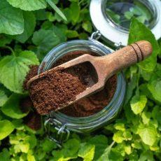 Как использовать кофейную гущу в садовничестве